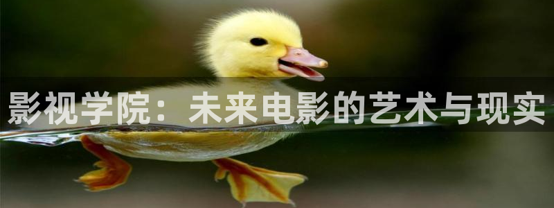 下載金桔影視：影視學(xué)院：未來(lái)電影的藝術(shù)與現(xiàn)實(shí)